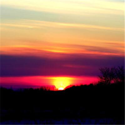 乐宝体育官网登录入口下载手机版